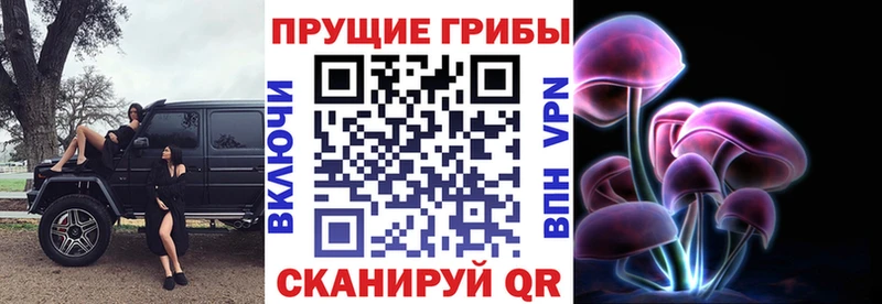 Галлюциногенные грибы MAGIC MUSHROOMS  цена наркотик  Новороссийск 